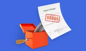 customs costs and import duties during customs clearance