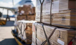 delayed shipment due to customs clearance issues