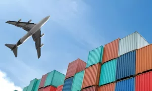 Customs specialist preparing a transit declaration in the NCTS system