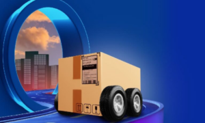 Parcel delivery concept representing DAP final destination