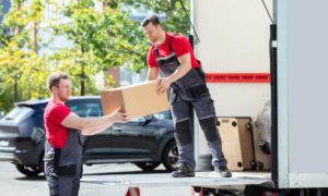 DPU seller unloads goods agreed destination