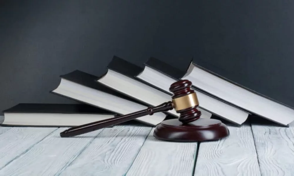Article 23 scheme for import VAT