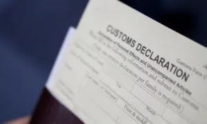 Customs official checks import declaration document